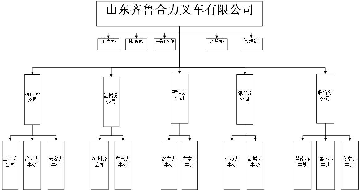 齐鲁xcsports组织机构图.jpg